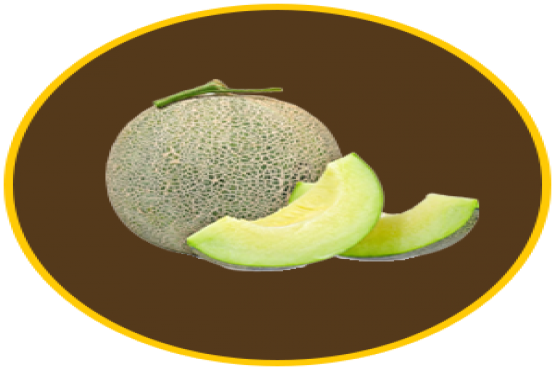  Melon