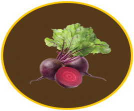 Beet Root