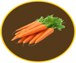 Carrot